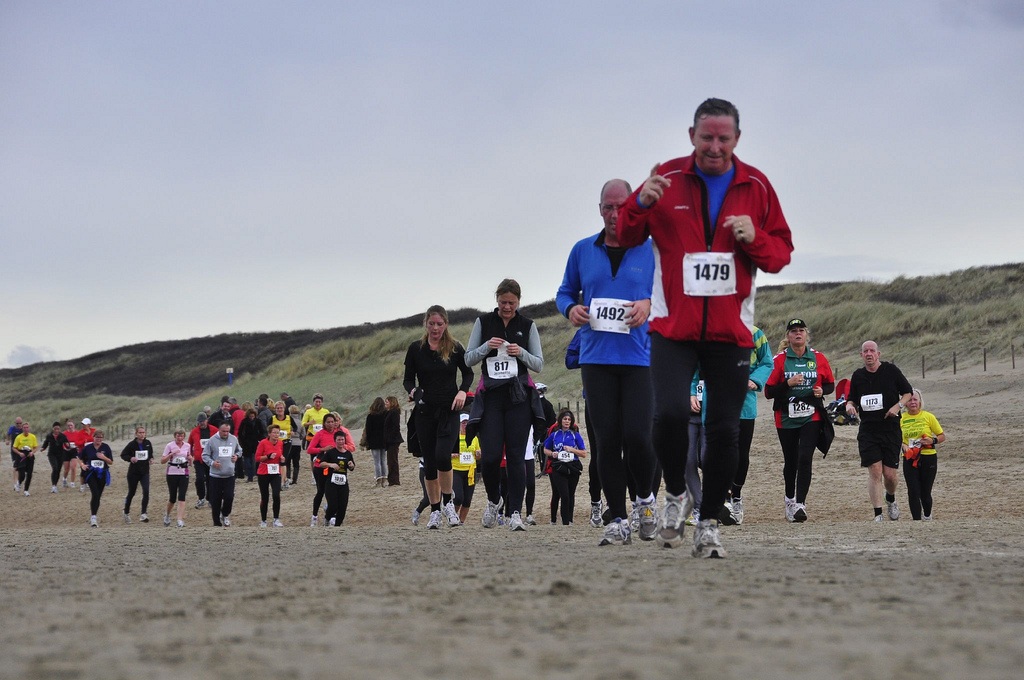 LvMloop_2010_01 (251K)