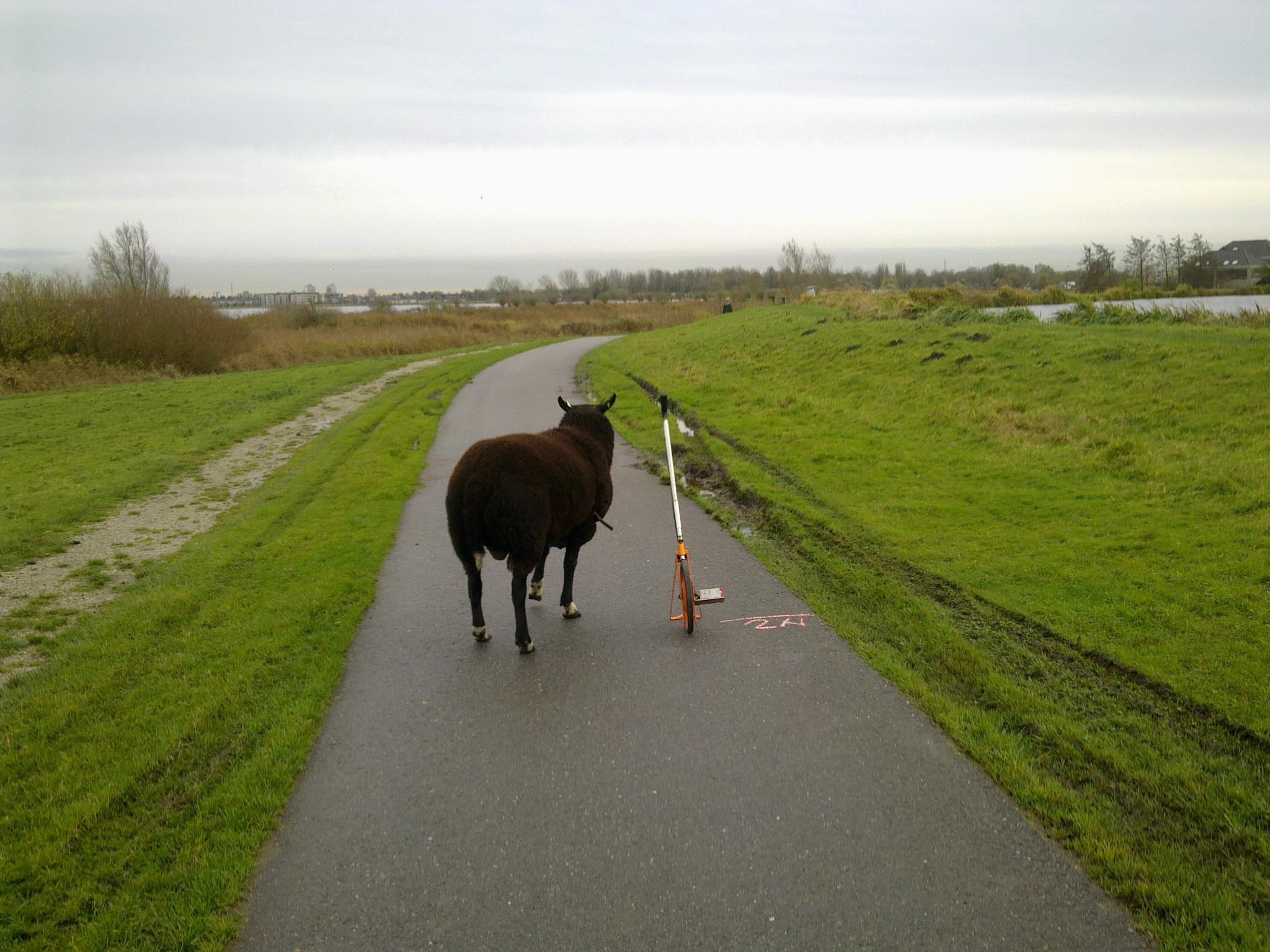 parcourc uitzetten foto Ed Zijl